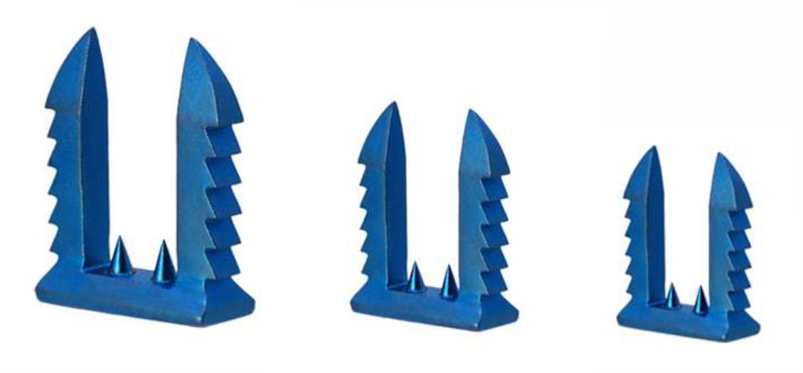 ligament-spike-washer